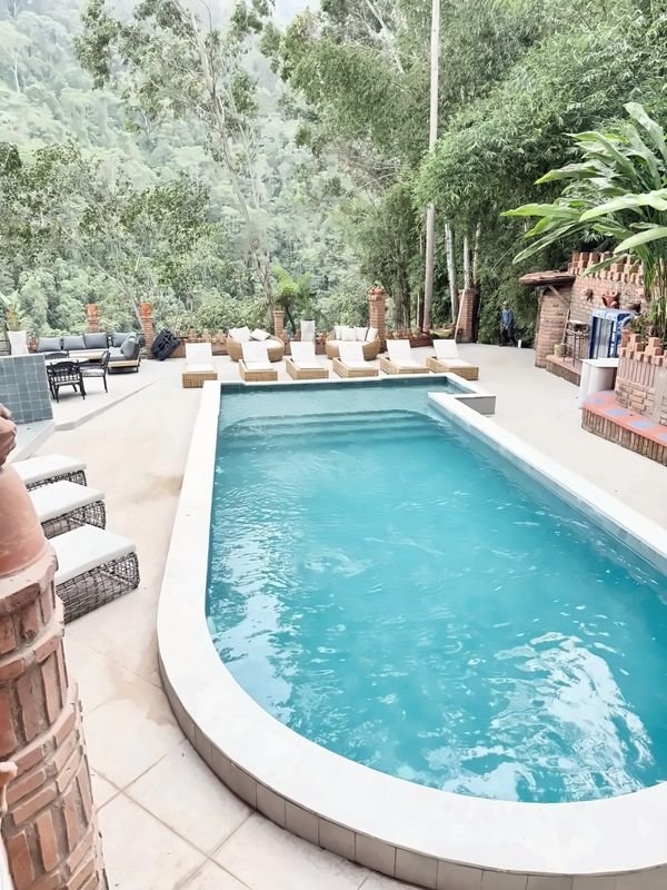 Piscina entre jardines